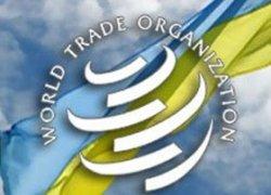 Чем выгодно России вступление в ВТО?