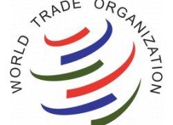 ЕС нарушает Антидемпинговое соглашение ВТО